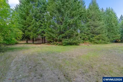 11 N Main St, Falls City, OR 97344 - Photo 18