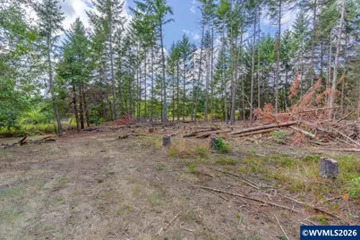 11 N Main St, Falls City, OR 97344 - Photo 8