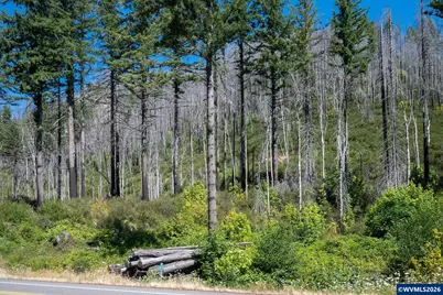 37989 N Santiam Hwy, Gates, OR 97346 - Photo 12