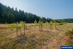36435 Devitt Rd, Blodgett, OR 97326 - Photo 24