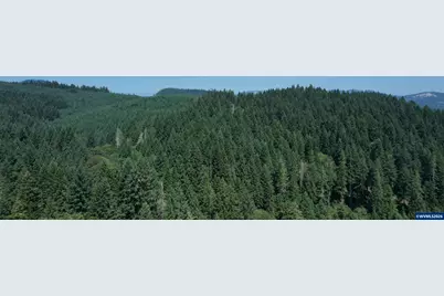 24113 Gellatly Wy, Philomath, OR 97370 - Photo 32