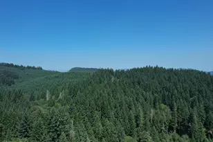 24113 Gellatly Way, Philomath, OR 97370 - Photo 32