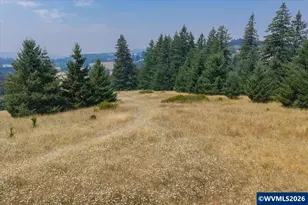 26221 Old Holley Rd, Sweet Home, OR 97386 - Photo 44