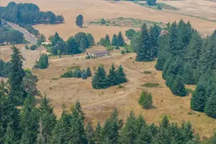 26221 Old Holley Rd, Sweet Home, OR 97386 - Photo 26