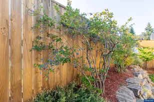 4023 SE Emily Way, Corvallis, OR 97330 - Photo 42