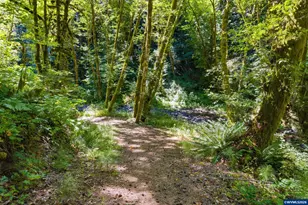 12251 SW East Creek Rd, Willamina, OR 97396 - Photo 14