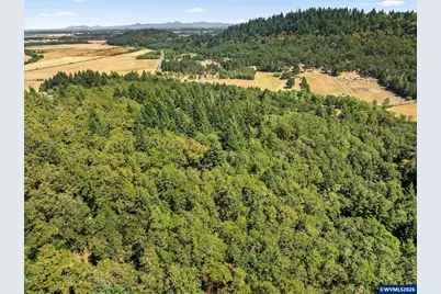 25264 Kyle Rd, Monroe, OR 97456 - Photo 50