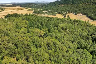 25264 Kyle Rd, Monroe, OR 97456 - Photo 50