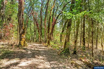 25264 Kyle Rd, Monroe, OR 97456 - Photo 46