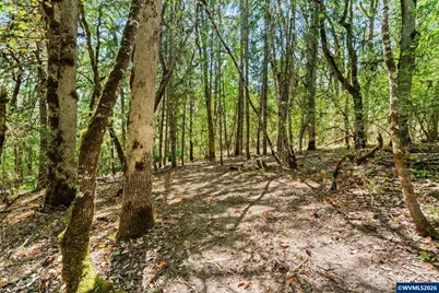 25264 Kyle Rd, Monroe, OR 97456 - Photo 44
