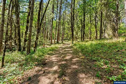 25264 Kyle Rd, Monroe, OR 97456 - Photo 42