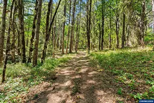 25264 Kyle Rd, Monroe, OR 97456 - Photo 42