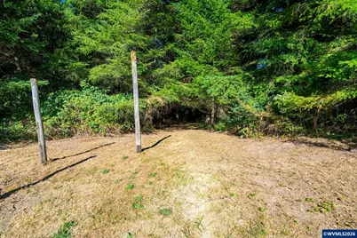 35349 Blitz Ln, Blodgett, OR 97326 - Photo 36