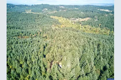 444 Reuben Boise Rd, Dallas, OR 97338 - Photo 24