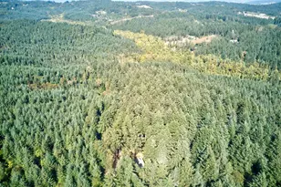 444 Reuben Boise Rd, Dallas, OR 97338 - Photo 24