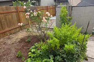 1626 1st Av E, Albany, OR 97321 - Photo 40