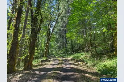 24898 Pleasant View Dr + Tax Lot 130629, Philomath, OR 97370 - Photo 6