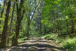 24898 Pleasant View Dr + Tax Lot 130629, Philomath, OR 97370 - Photo 6