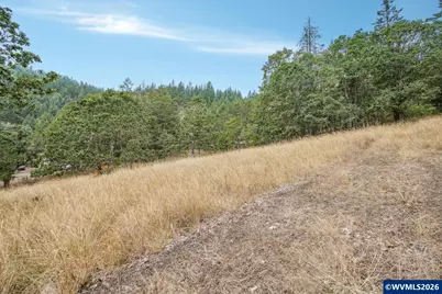 Block 1031 Sheep Head Rd, Brownsville, OR 97327 - Photo 6