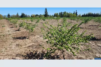36501 Gilkey Rd, Scio, OR 97374 - Photo 2