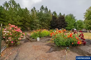 1087 38th Ave, Sweet Home, OR 97386 - Photo 28