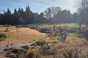 5454 Wallace Rd NW, Salem, OR 97304 - Photo 24