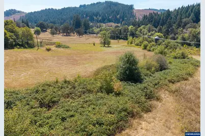 Tract D Finch (Ta 418256) Ln, Philomath, OR 97370 - Photo 10