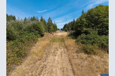 Tract D Finch (Ta 418256) Ln, Philomath, OR 97370 - Photo 16