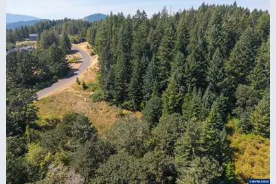 Tract F Finch (Ta 418243) Ln, Philomath, OR 97370 - Photo 2