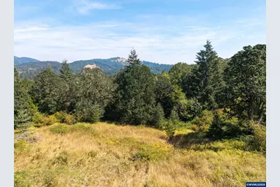 Tract F Finch (Ta 418243) Ln, Philomath, OR 97370 - Photo 4