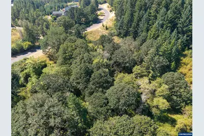 Tract F Finch (Ta 418243) Ln, Philomath, OR 97370 - Photo 8