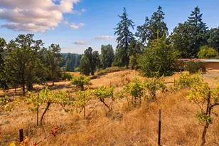 39156 Myers Pl, Scio, OR 97374 - Photo 2