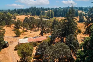 39156 Myers Pl, Scio, OR 97374 - Photo 6