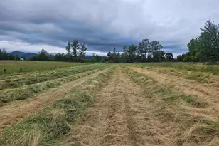 26260 Hwy 99, Monroe, OR 97456 - Photo 40