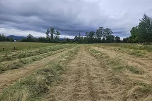 26260 Hwy 99, Monroe, OR 97456 - Photo 38