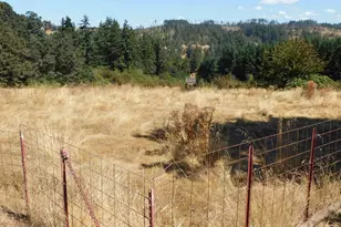 38910 S Prospect Dr, Molalla, OR 97038 - Photo 8