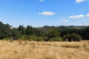 38910 S Prospect Dr, Molalla, OR 97038 - Photo 6