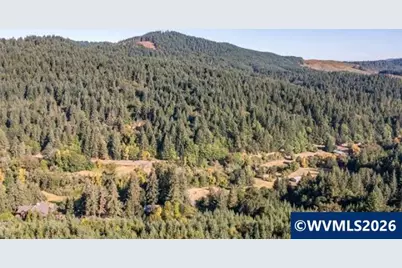 Tl 164222 Woods Creek Rd, Philomath, OR 97370 - Photo 1