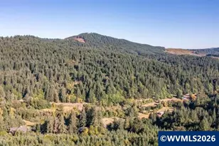 Tl 164222 Woods Creek Rd, Philomath, OR 97370 - Photo 1