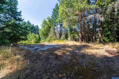 6685 SW West Hills Rd, Corvallis, OR 97333 - Photo 22