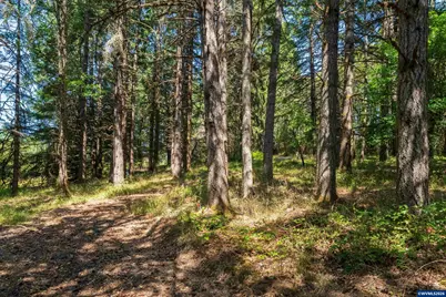 6685 SW West Hills Rd, Corvallis, OR 97333 - Photo 12