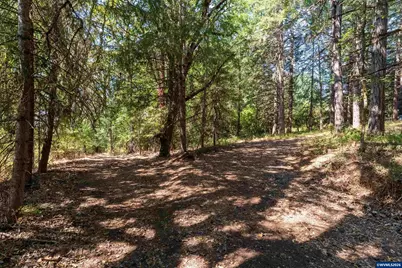 6685 SW West Hills Rd, Corvallis, OR 97333 - Photo 4