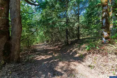 6685 SW West Hills Rd, Corvallis, OR 97333 - Photo 8