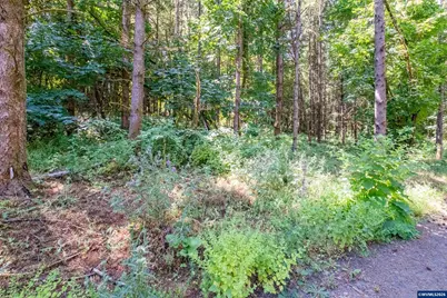 Lot 103 Scravel Hill Rd NE, Albany, OR 97322 - Photo 20