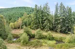 42174 Fish Hatchery Dr, Scio, OR 97374 - Photo 40