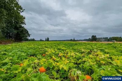 Ta 537305 Wall Ln, Jefferson, OR 97352 - Photo 14
