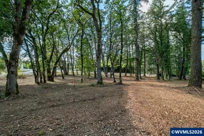 Lot 1101 &amp; 1102 Valley View Dr NW, Albany, OR 97321 - Photo 6