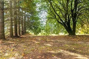 34255 Powell Hills Rd, Shedd, OR 97377 - Photo 6