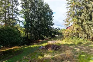 34255 Powell Hills Rd, Shedd, OR 97377 - Photo 16