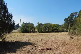 23347 Alsea Hwy, Philomath, OR 97370 - Photo 34